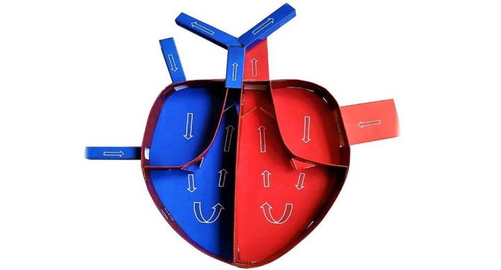 Origami ile Kalp Modeli Yapımı